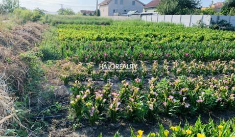 Predaj, pozemok pre rodinný dom   500 m2 Tureň