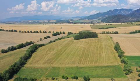 Ponúkame na predaj poľnohospodársky pozemok 141097 m2 v Mošovciach