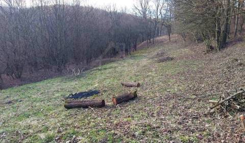 Pozemok obkolesený lesom nad Nimnicou na relax v prírode