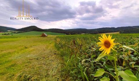 Predaj pozemku v obci Uzovský Šalgov, okr. Sabinov.