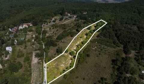 POZEMOK NA PREDAJ - 5480 m2 - SVÄTÝ JUR, OKRES PEZINOK