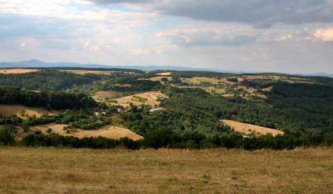 Pozemok (3,1ha) na Hrušove s panoramatickým výhľadom.