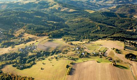 Krásny pozemok v katastri obce Detvianska Huta s výmerou 7750m2.