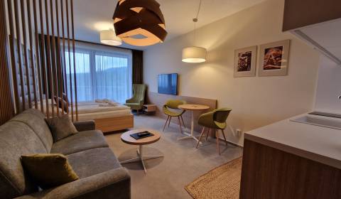 REZERVOVANÉ Apartmán HREBIENOK RESORT II. - s výhľadom na Tatry-37,5 m