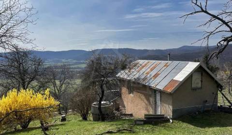 Rozsiahla vinica s chatkou nad obcou Hrušov