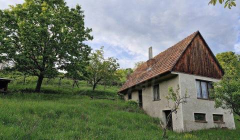 Viničný dom a vinica so vzácnou morušou v Devičanoch