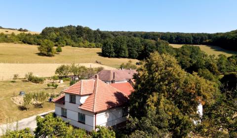 Rodinný dom Chvojnica okr. Myjava s veľkým pozemkom