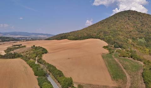 Výnimočný slnečný pozemok, 22 542m2, Veľký Šariš