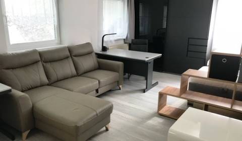 APARTMÁN 1,5 IZBOVÝ PEŠIA ZÓNA MARTIN