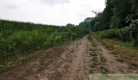 Rekreačný pozemok na predaj pri jazere v obci Vištuk, 30 km od Bratisl