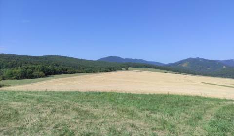 VALČA pozemok s výmerou 5800 m2,  okr. Martin 