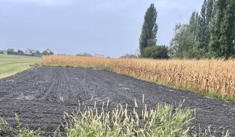 ZNÍŽENÁ CENA! Stavebný pozemok o rozlohe 557 m2 v Holiciach!