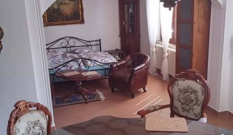 Veľký 1 izbový zariadený byt v rodinnom dome Pezinok 520,- Eur