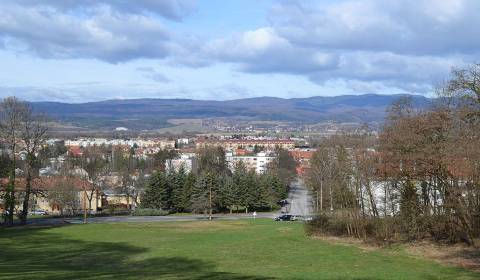 Hľadáme pre klienta 1izbový byt na Sliači, okr.Zvolen  