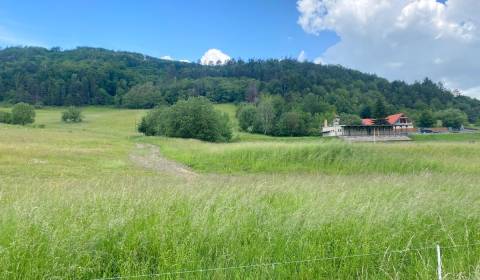 Pozemok na predaj, 13 237 m2  Slatinské Lazy, okres Detva