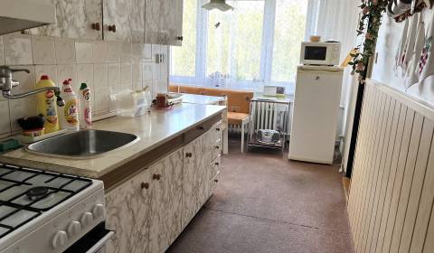 Priestranný dvojizbový byt o výmere 70 m2, Detva - Novosady