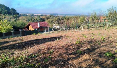 Pozemok s možnosťou výstavby rekreačnej nehnuteľnosti Hôrka nad Váhom 