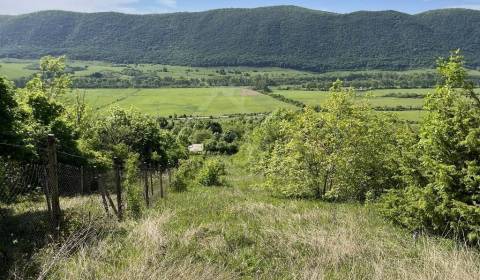 Bývalá vinica s krásnym výhľadom pri obci Hrhov