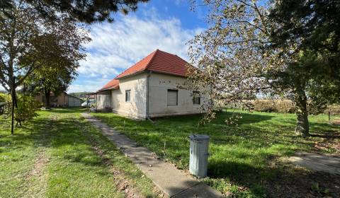 Predaj Rodinný dom s pozemkom 5503 m2, Nové Osady, Veľké Úľany.