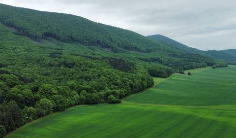 Orná pôda 3400 m2, Lošonec