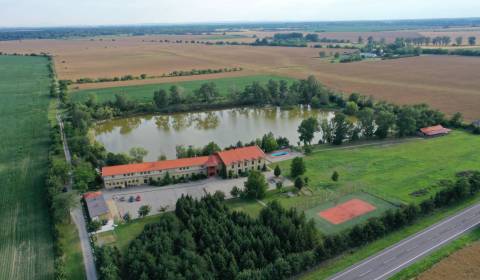 NA PREDAJ krásny Penzión&Restaurant ZLATÁ RYBA*** s rybníkom