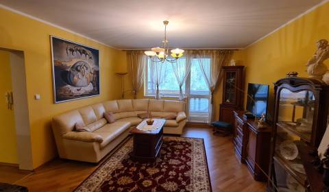 ZARIADENÝ 2-IZBOVÝ APARTMÁN, VEĽKÝ SLAVKOV