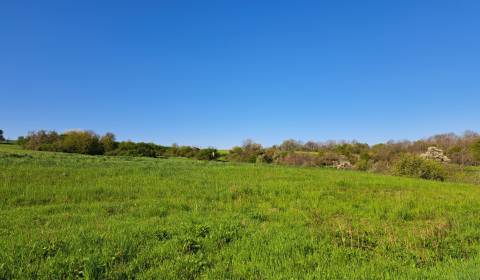 Pozemok 7.000 m2, šírka 55 m, Žemberovce, Cena DOHODOU (SM–773)