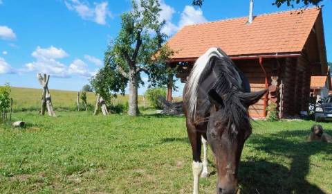 NOVÁ CENA !-Váš vysnívaný zrub v pokojnom prostredí lazov