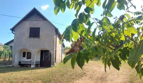 Poschodová chatka s vinohradom v malebnej dedinke Modrany