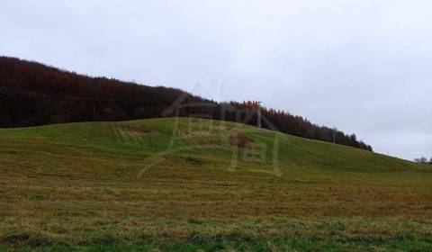 Veľký (86á) pozemok na okraji obce Papín/ Humenné