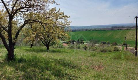 Rozľahlý pozemok na samote vhodný na stavbu blízko vinárskej dedinky N