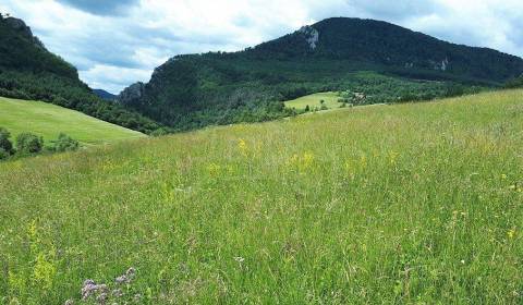 VÄČŠÍ POZEMOK S VÝHĽADOM NAD OBCOU ZÁSKALIE PRI POVAŽSKEJ BYSTRICI NA 