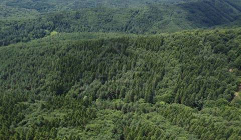 Na predaj les - lesný pozemok 6,75 ha - Osadné