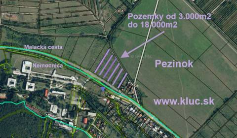 Lúka, záhrady od 3.000m2 – 18.000m2  s dobrým prístupom. Pezinok