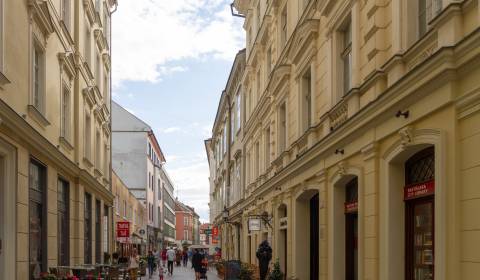 Predaj gastro priestoru, Laurinská, Laurinská, Staré Mesto