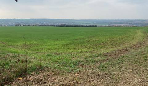 Vinica s pozemkom na výstvabu chaty - Žemberovce 