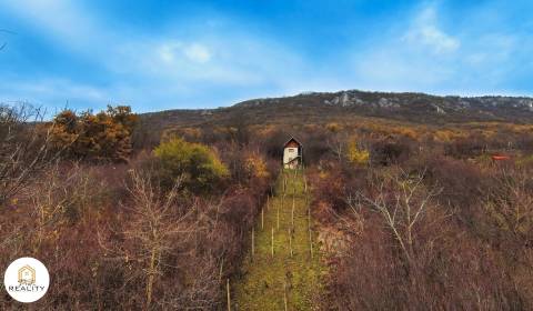 Predaj krásnej vinice s chatou pri obci Hrhov