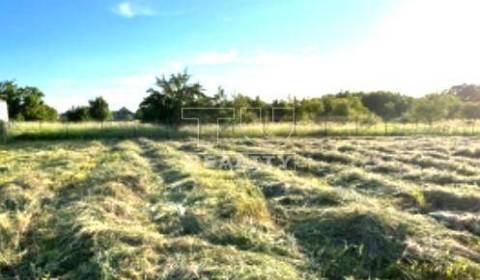 Pekný veľký pozemok pripravený pre výstavbu rodinného domu ** Borský S