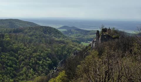 Dubnica nad Váhom, Prejta – 6.061 m2 LES (Urbár) – PREDAJ