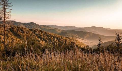 Zbora (Dohňany) - 8.714 m2 LESY a ORNÁ PÔDA - Na predaj