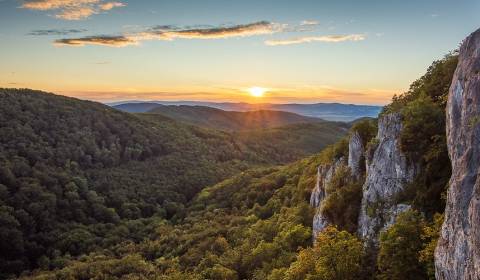 Dubnica nad Váhom – 374 m2 LES a PÔDA - PREDAJ