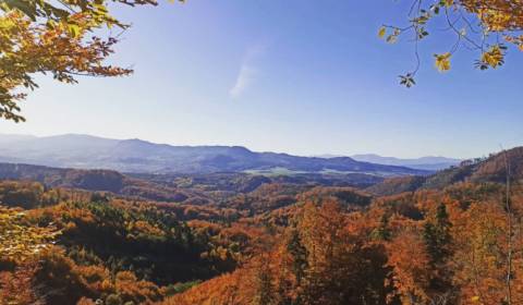 Hoštiná - 5.262 m2 Lesy a Orná pôda - NA PREDAJ