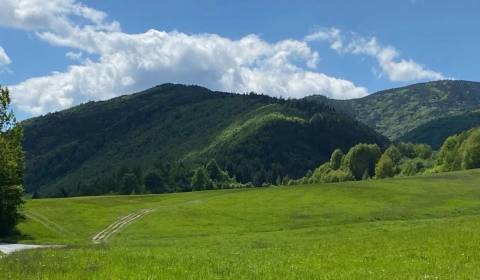 Veľký Lipník – 22.036 m2 ORNÁ PÔDA a LESY – Na Predaj