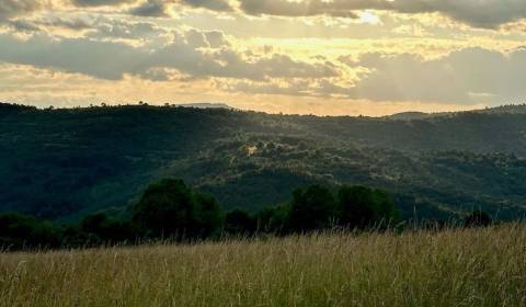 Madačka – 26.051m2 LESOV (Urbáru) – PREDAJ