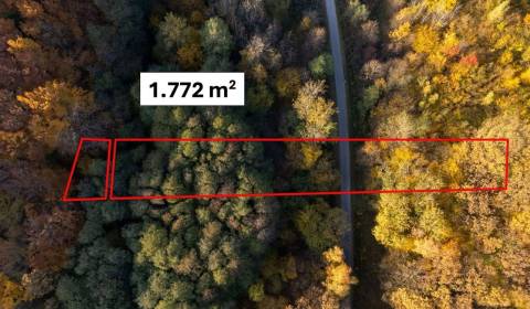 Kamenné (Košice) - 1.772 m2 LES v podiele 1/1 – NA PREDAJ