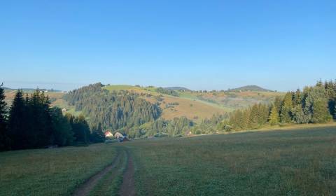 Horný Tisovník - 608 m2 - INVESTIČNÉ LESNÉ pozemky