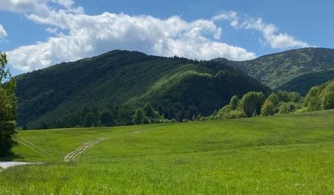 Čierny Balog – 98 m2 LES a PÔDA – PREDAJ