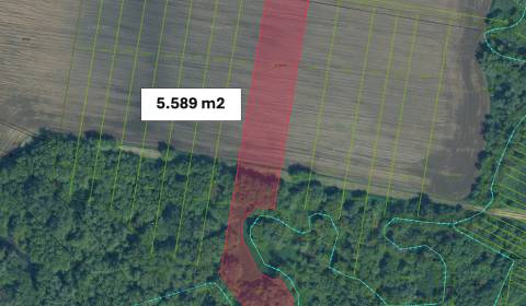 Bíňa - 5.589 m2 ORNÁ PÔDA a LES, podiel 1/1 – PREDAJ