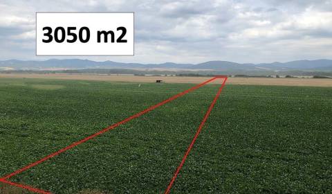 Piešťany  – 3.050 m2 ORNÁ PÔDA v podiele 1/1 – Predaj