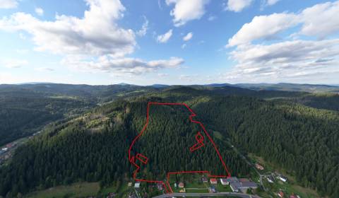 Korňa – 20.800 m2 LES s prístupom z obce - Na predaj